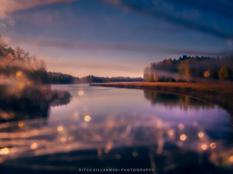 52 Frames: Week 41:  Shoot Through&nbsp;Something!