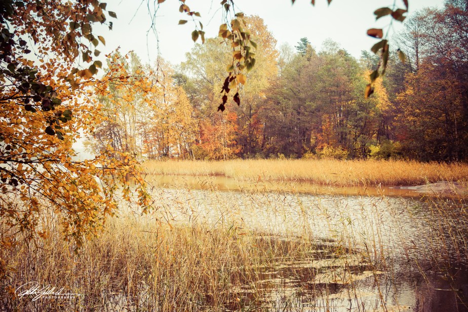 Lens-Artists Challenge #369 –&nbsp;Dreamy