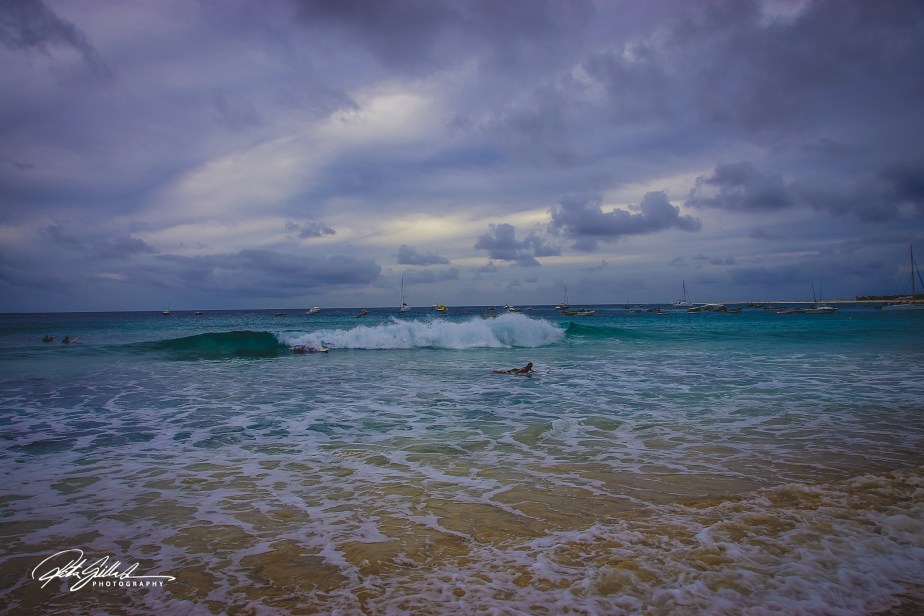 How to Survive November 2022 –&nbsp;30