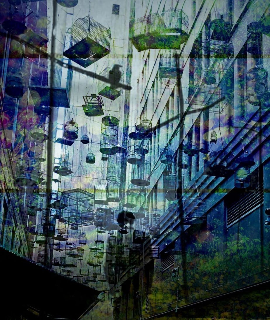 How to Survive November 2022 –&nbsp;27