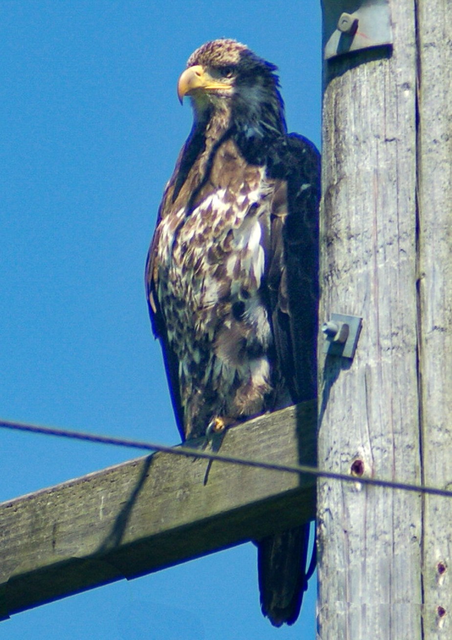 How to Survive November 2022&nbsp;-4