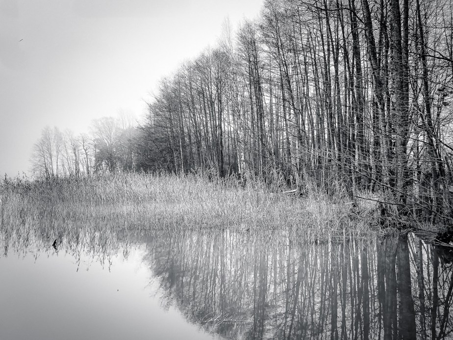 Beautiful in Black and White&nbsp;10
