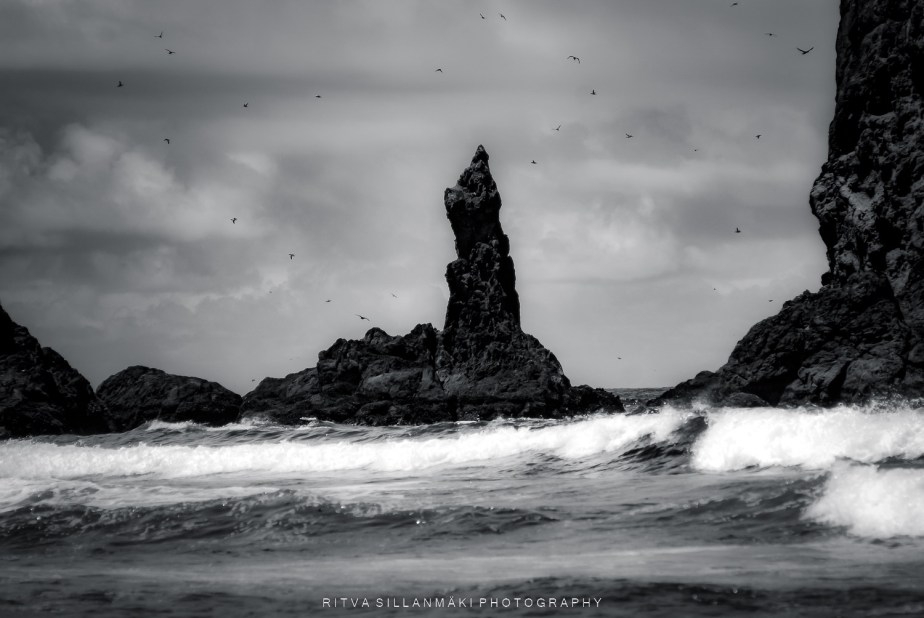 Beautiful in Black and White&nbsp;9