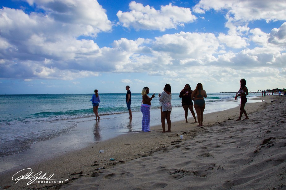 How to Survive November 2022 –&nbsp;16