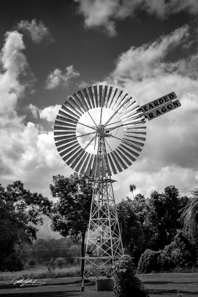 Beautiful in Black and White&nbsp;12
