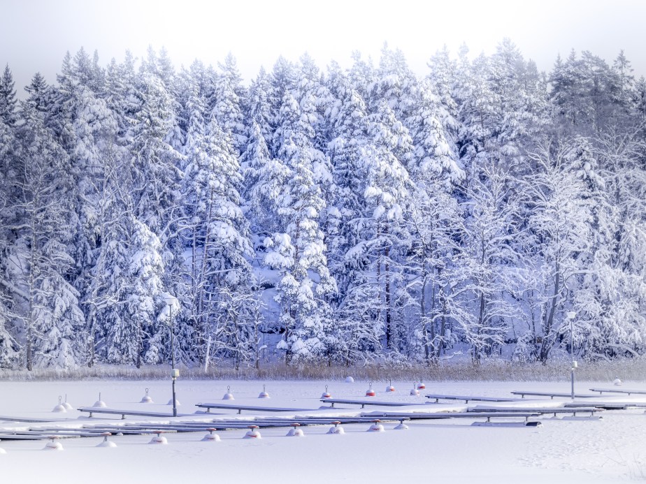 How to Survive November 2022 –&nbsp;28