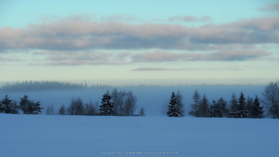 Minimalist winter scenery