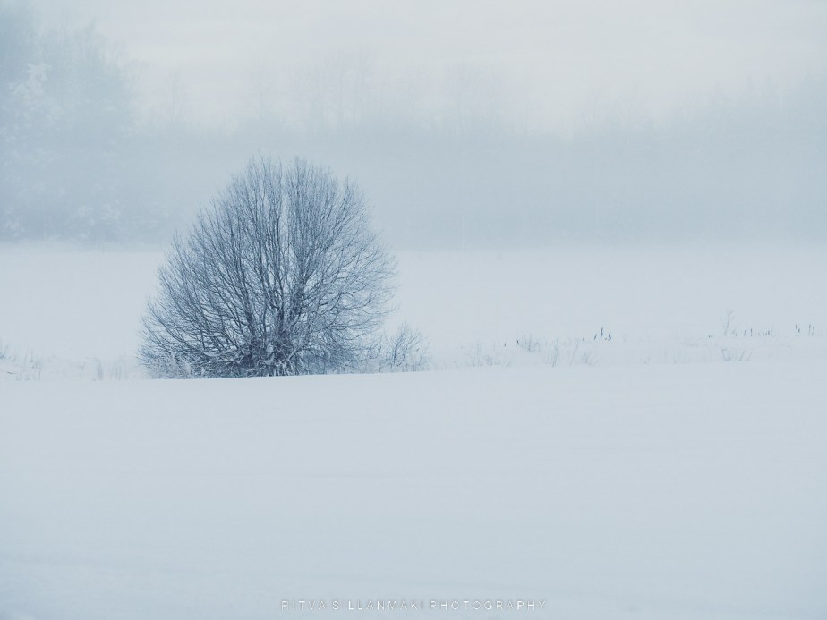 Lens-Artists Photo Challenge #230 – Last&nbsp;Chance