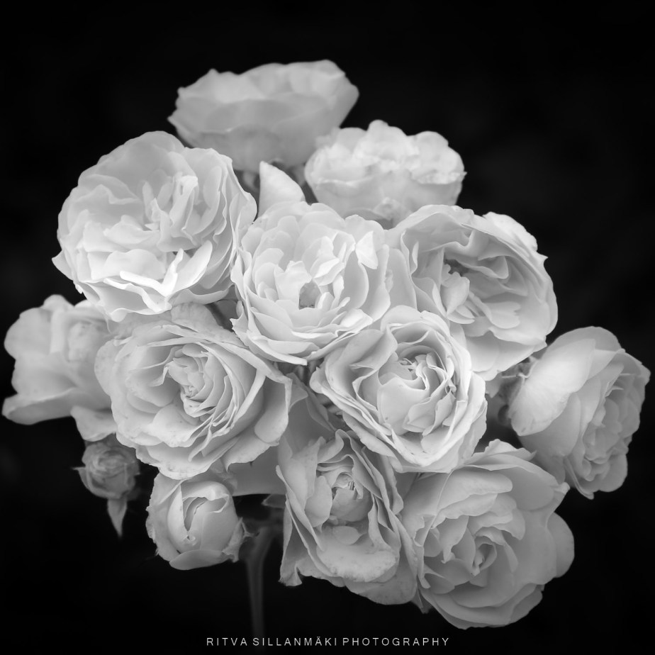 Beautiful in Black and White&nbsp;13