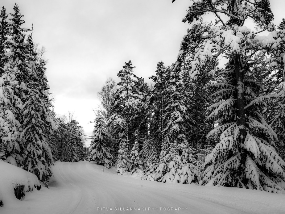 Beautiful in Black and White&nbsp;14