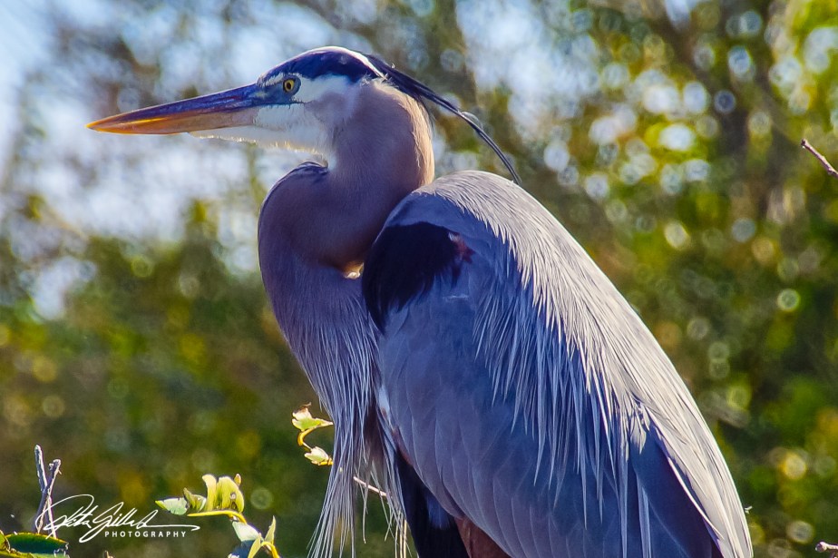 LENS ARTISTS CHALLENGE #233: A One Lens&nbsp;Walk