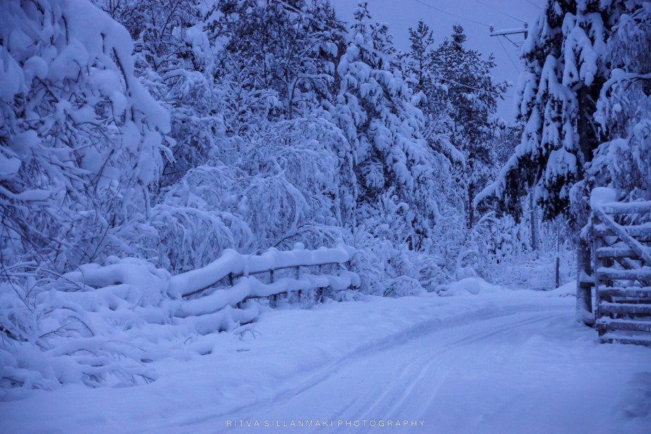 Lens Artists Challenge #236: SouthMeets&nbsp;North