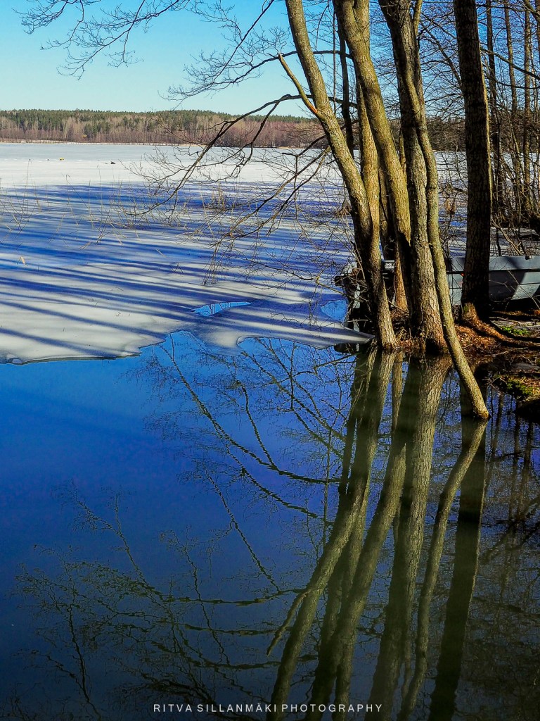 Trees reflecting in partially frozen lake water under a clear blue sky.