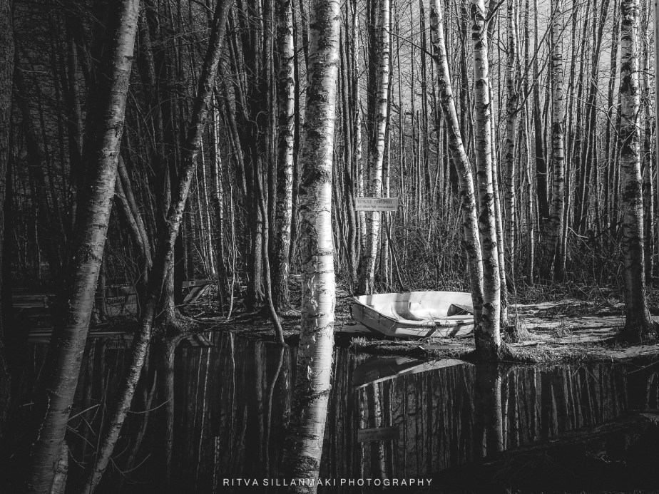 Mid-week Monochrome #126