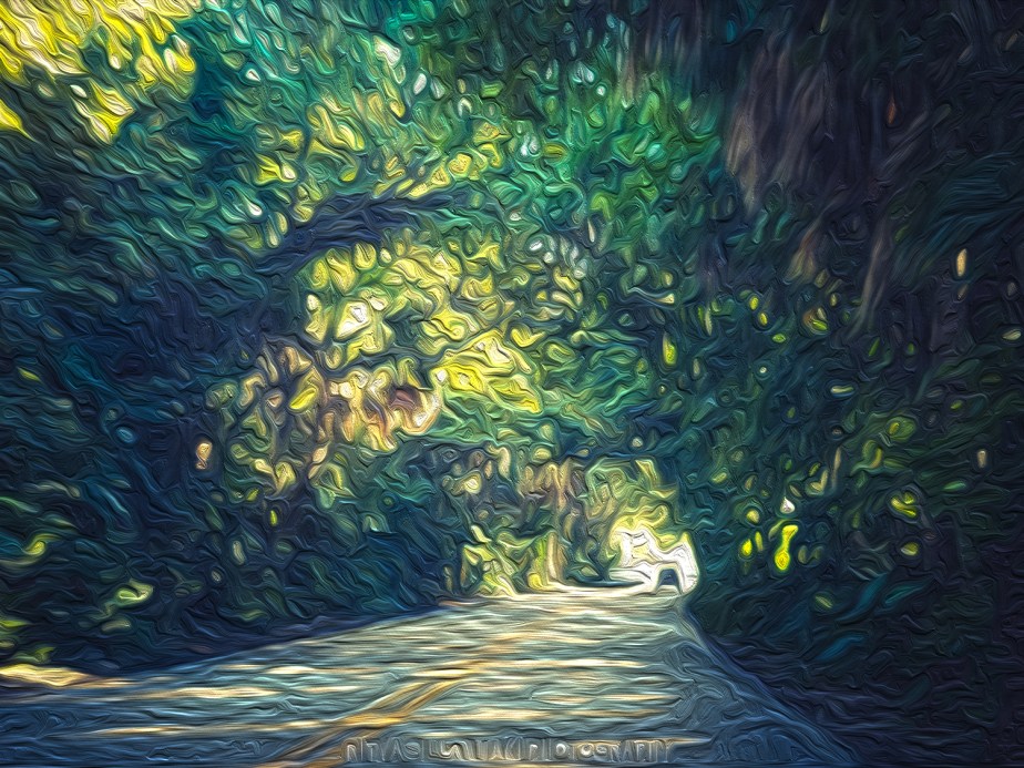 Lens Artists Challenge #339: Life’s&nbsp;Changes