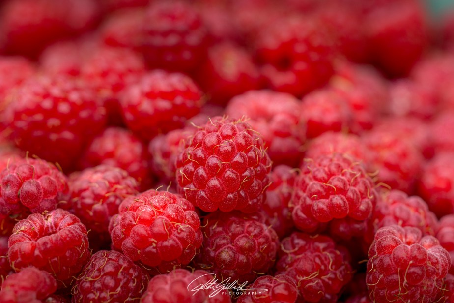 Simply red raspberries –&nbsp;9