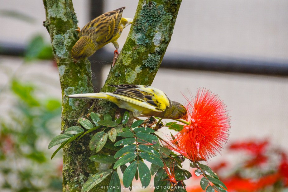 summer 2023 –&nbsp;1