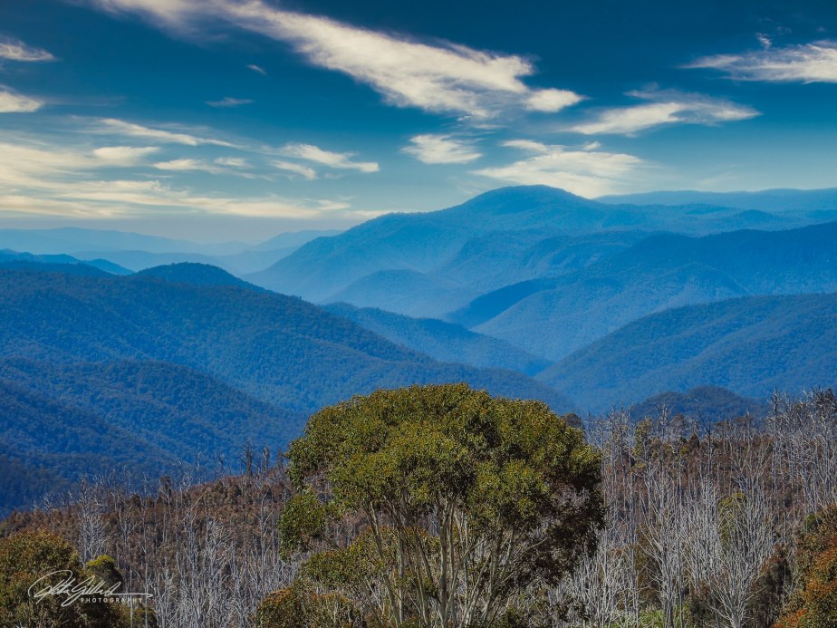 Lens Artists Challenge #313: Cool&nbsp;Colors