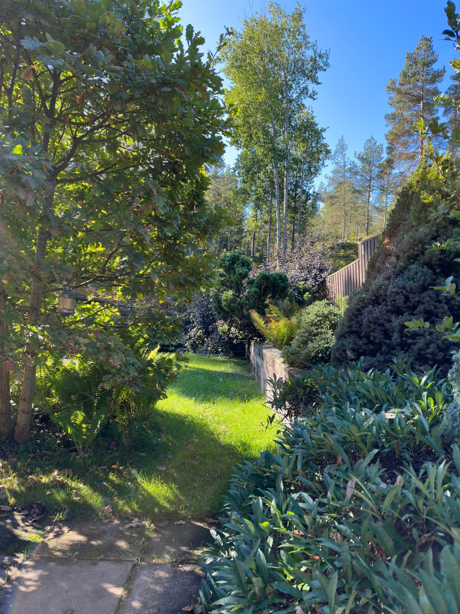 Enjoying September weather