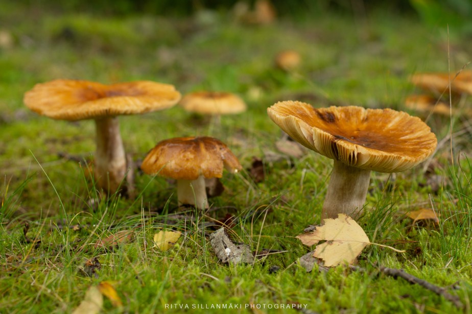 Have to be&nbsp;careful