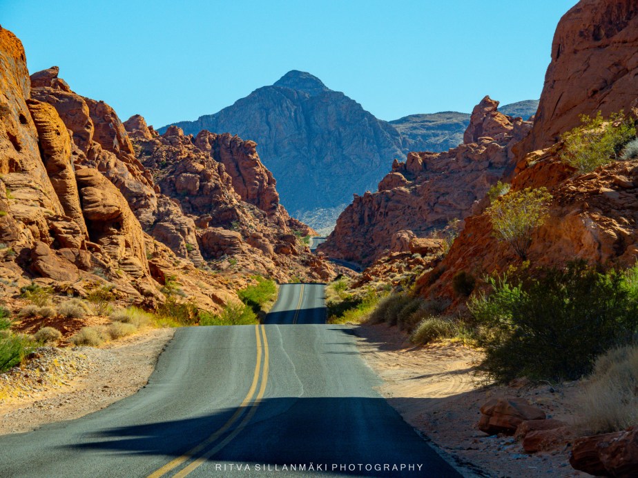 Throwback Thursday – Mojave&nbsp;Desert