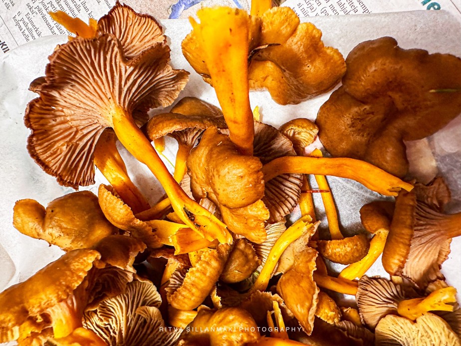 How to survive November 2023 –&nbsp;27