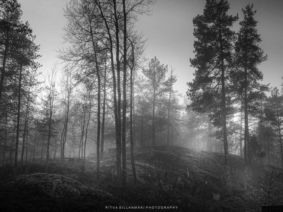 eerie yet captivating&nbsp;scenes