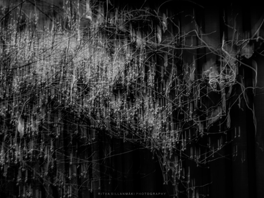 Monochrome  – Abstracts