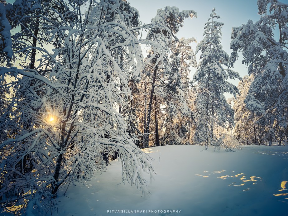 Winter landscapes from Kirkkonummi&nbsp;#2