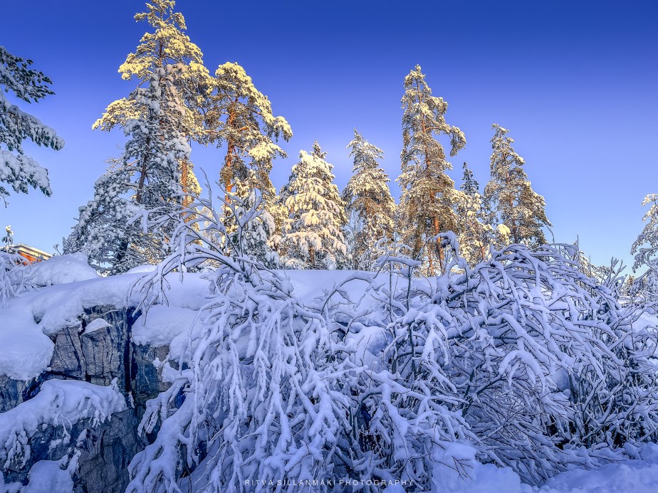 Winter landscapes from Kirkkonummi&nbsp;#6