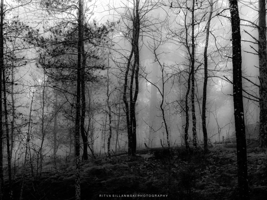 a canvas for the&nbsp;imagination