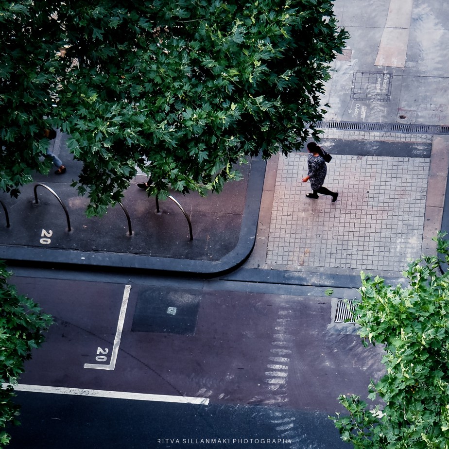 What a square ⬜ Solitude Amidst Urban&nbsp;Greenery