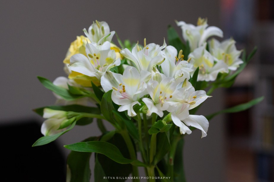 Last on the card – from March&nbsp;2024