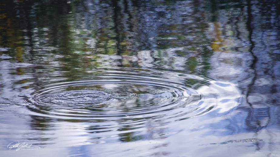 Nature’s brush paints delicately eccentric&nbsp;circles