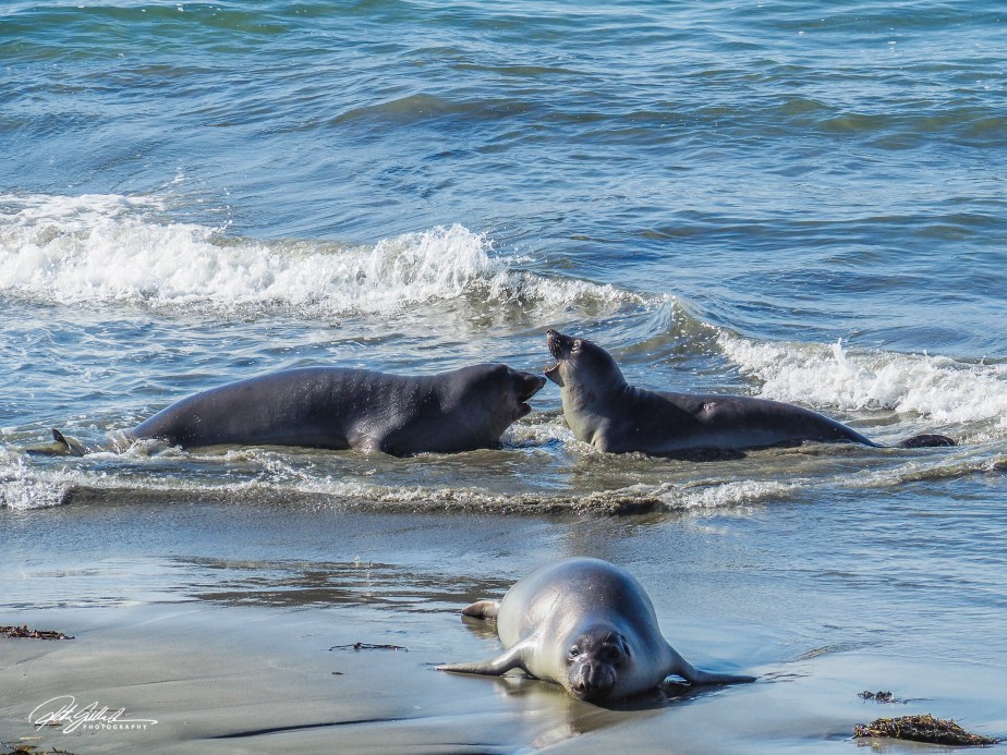 Lens-Artists Challenge #306 –&nbsp;Habitat