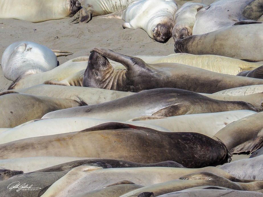 Lens-Artists Challenge #393 – Lucky&nbsp;Shot