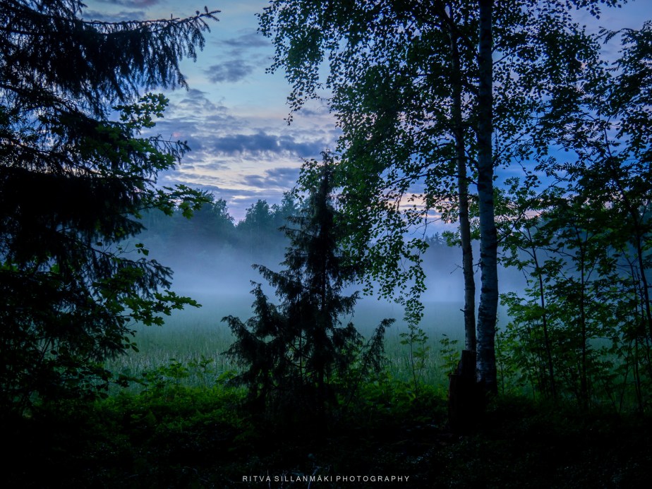 A Mystical Dreamscape