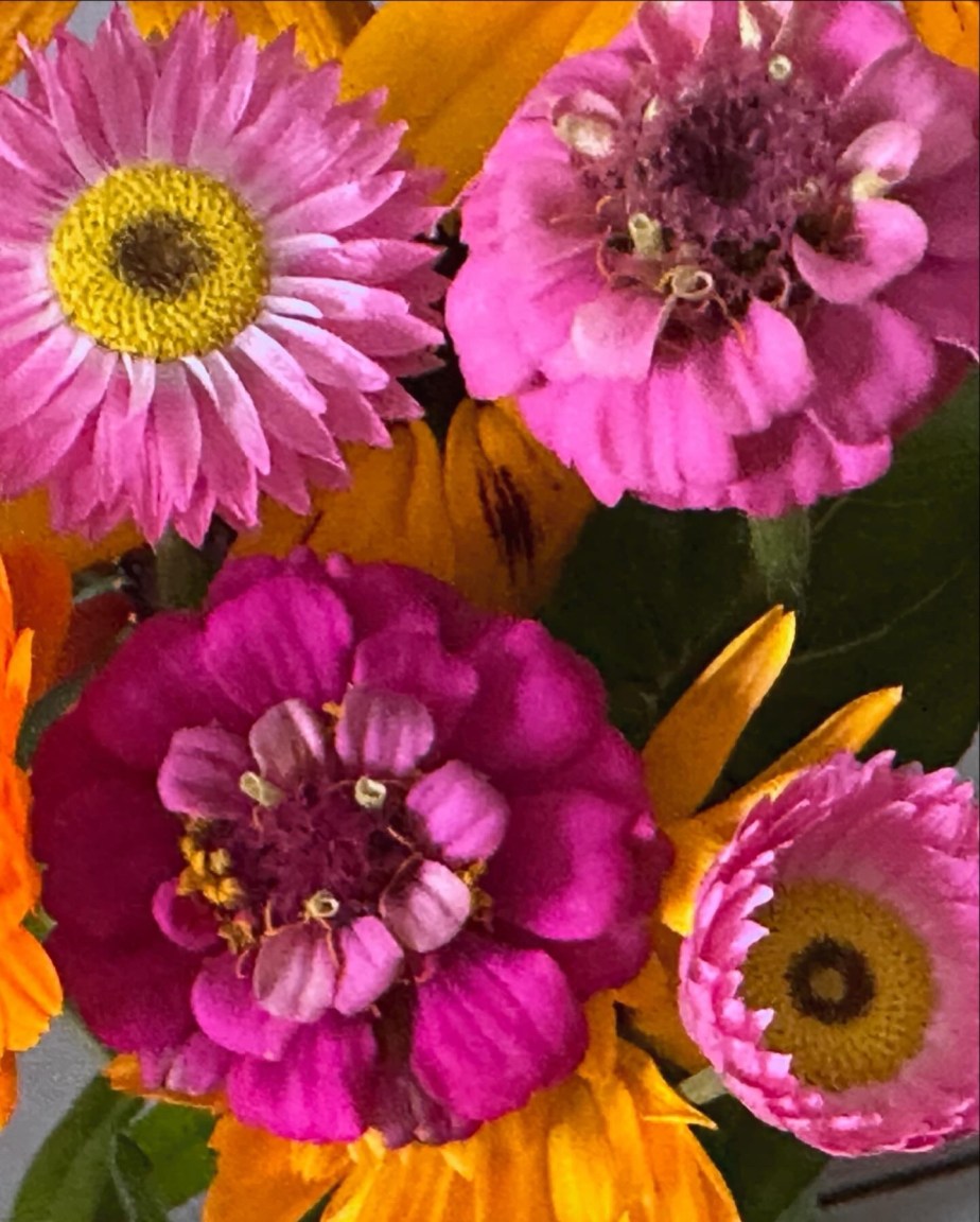 Flower of the&nbsp;day