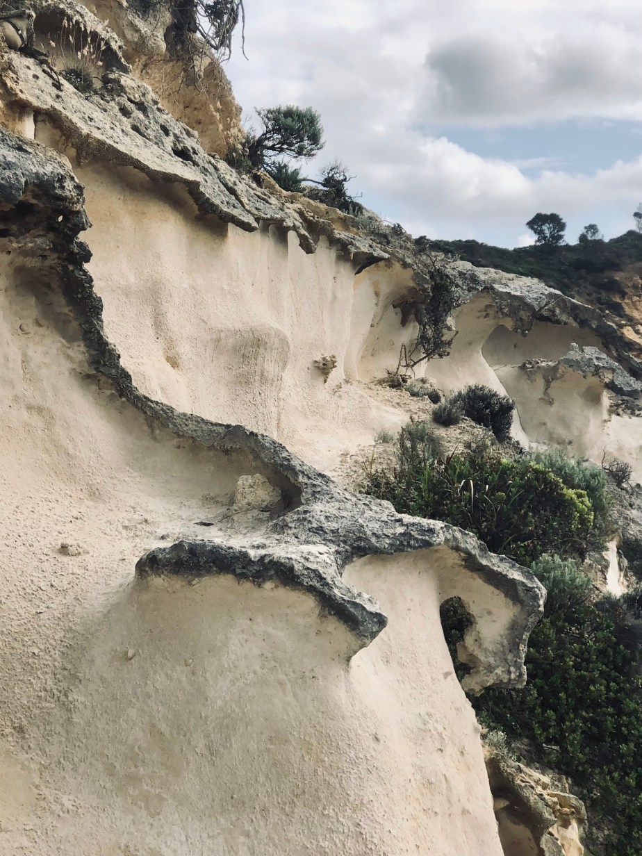 Lens-Artists Challenge #308 – Perfect&nbsp;Pairs