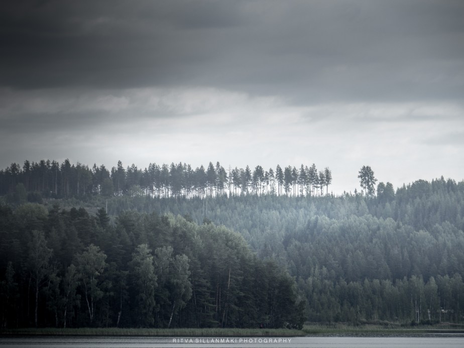 One word Sunday –&nbsp;Monotone