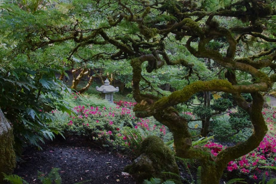 lens-artists-challenge: 311-what’s in a&nbsp;garden