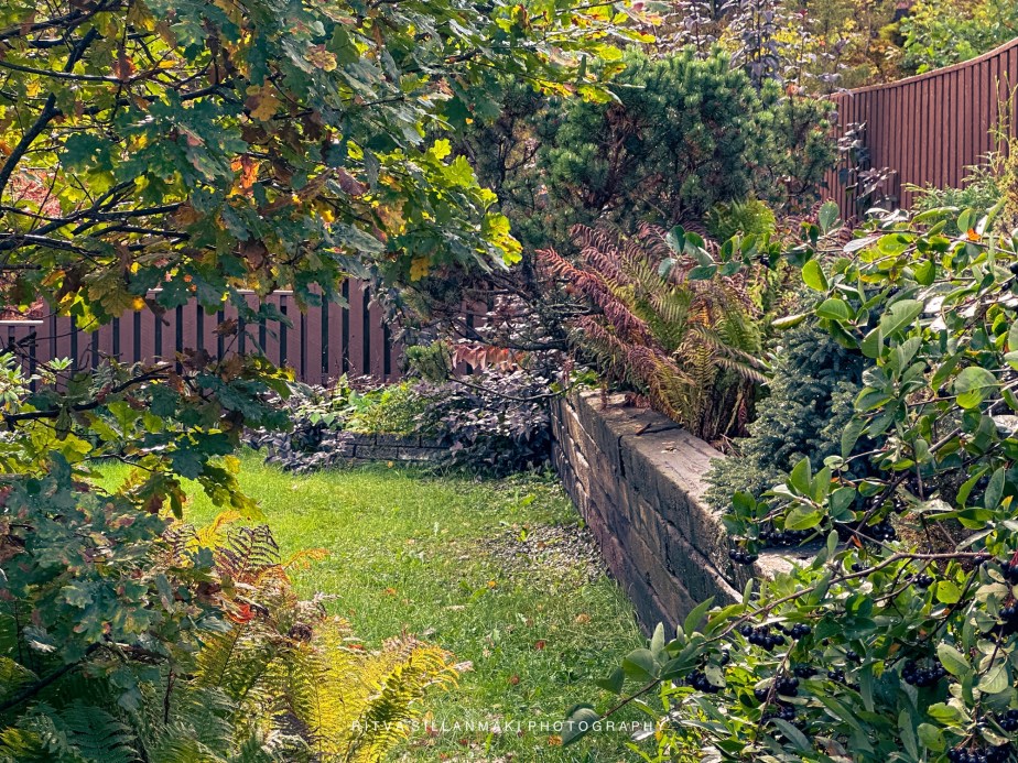 Can you sense the season&nbsp;changing?