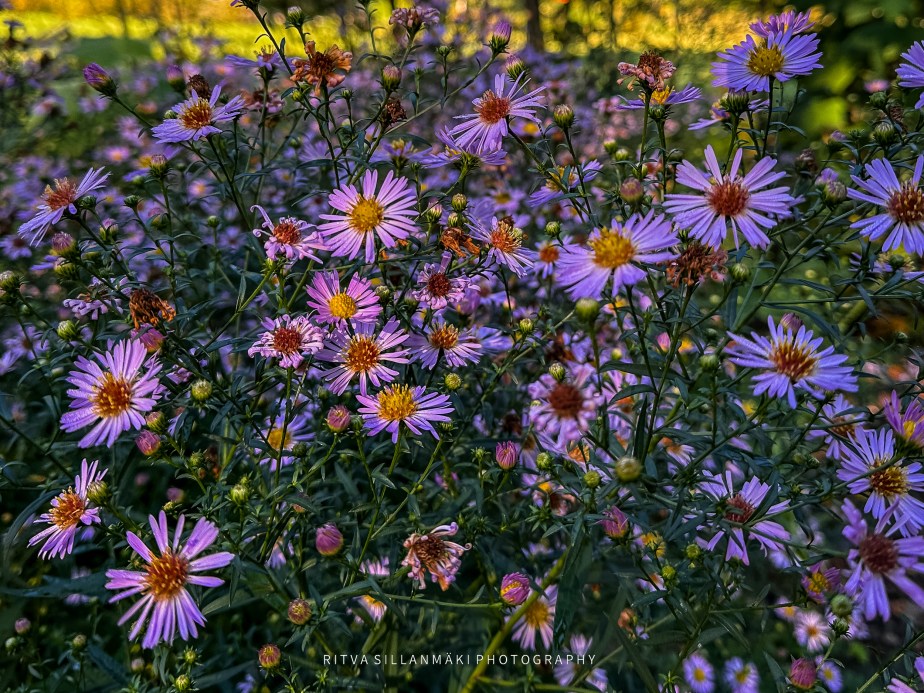 if not this, what’s a&nbsp;sign