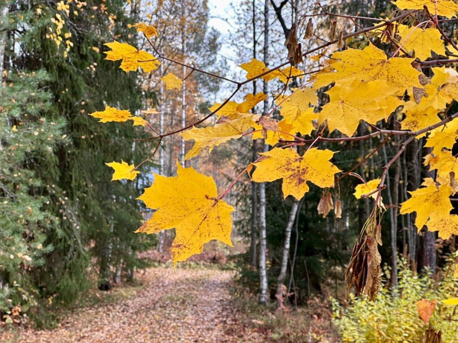 It’s officially over, until next&nbsp;year