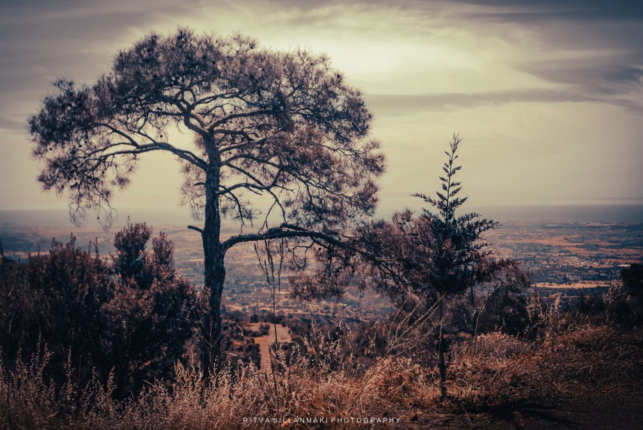 5 Ways to Reimagine One&nbsp;Photo