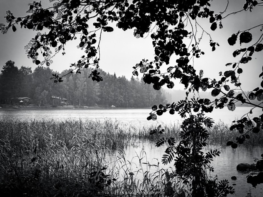 Capturing Rainy Lake Views in&nbsp;Monochrome