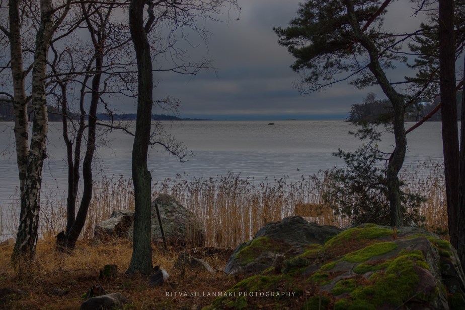 How to Survive November 2024 –&nbsp;M