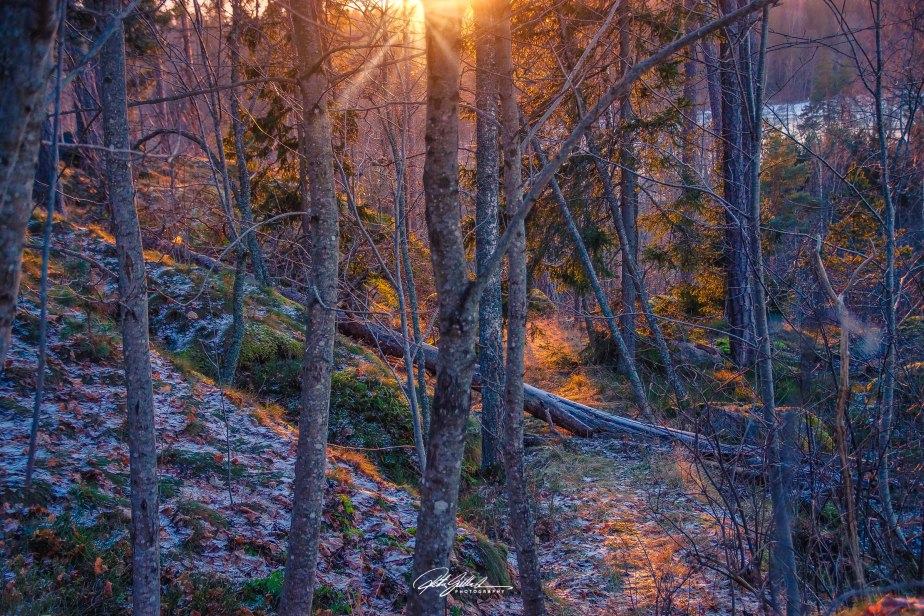 How to Survive November 2024&nbsp;-30th