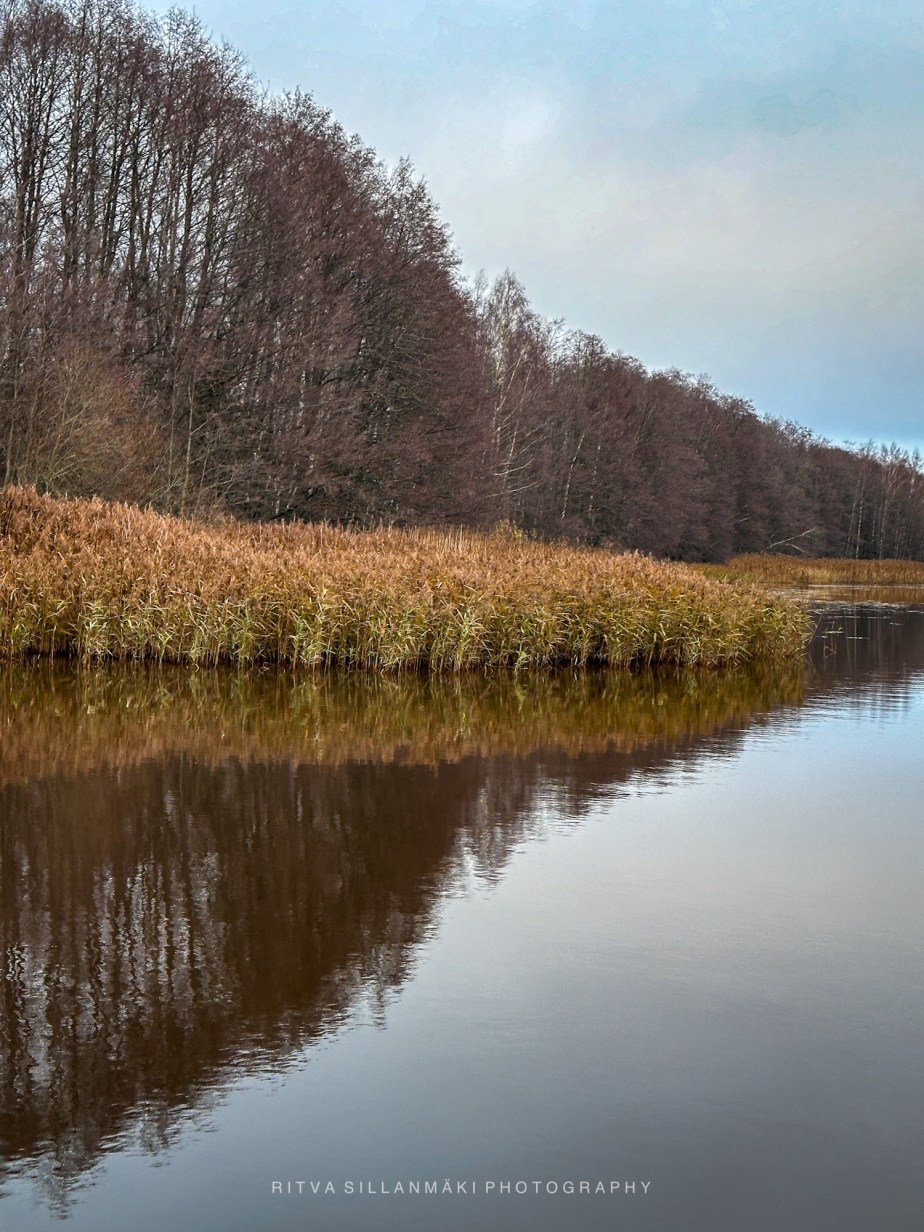 How to Survive November 2024 –&nbsp;K