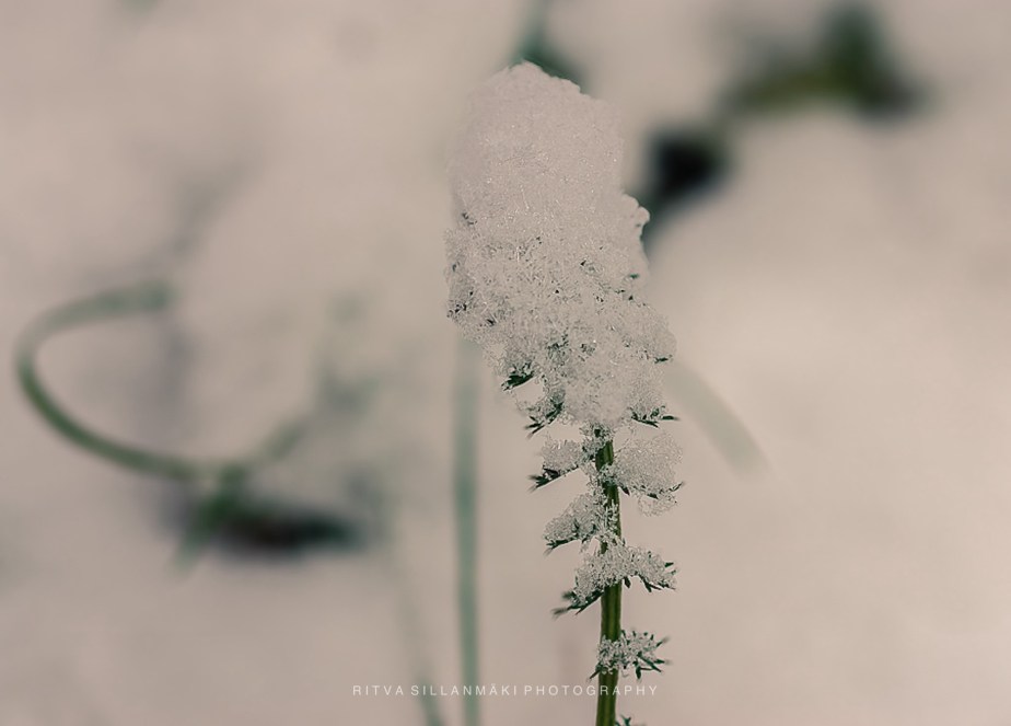 How to Survive November 2024&nbsp;-V